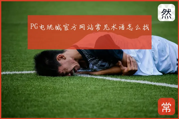 PG电玩城官方网站常见术语怎么找