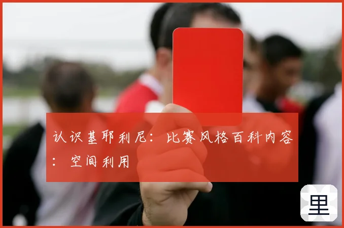 认识基耶利尼：比赛风格百科内容：空间利用